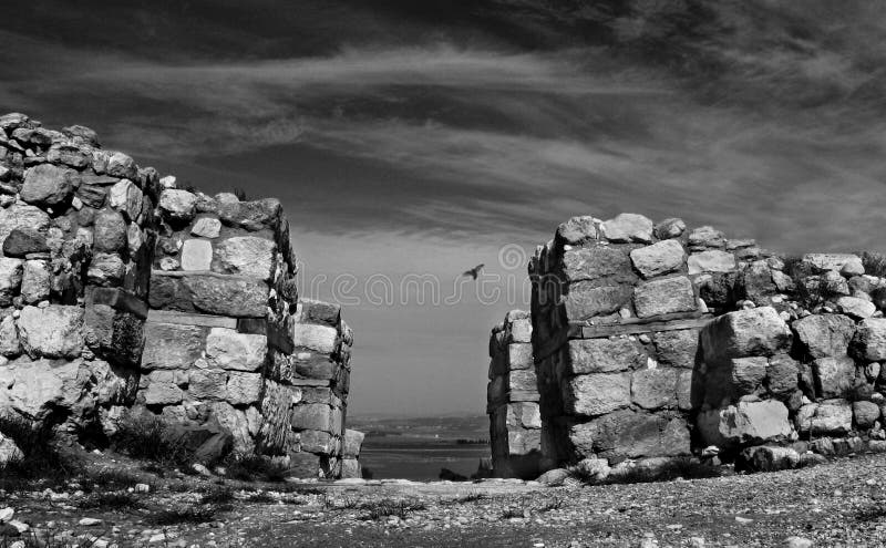 Download Presentiment stock photo. Image of black, grey, mood, white - 3589176