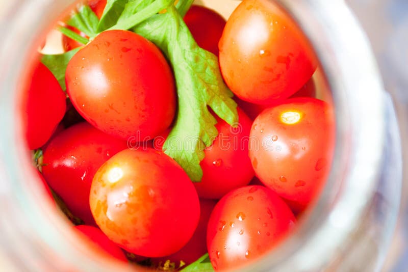 preservação home Tomates vermelhos maduros em processo da colocação em latas foto de stock preservação home Tomates vermelhos maduros em processo da colocação em latas foto de stock
