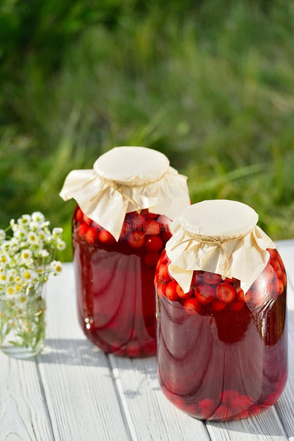 Preserved Fruit, Sour Cherries Compote Stock Photo Image of marinated, preserve 74731152