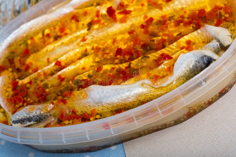 Marinated Anchovies with Olives, Onion, Paprika Stock Image Image of