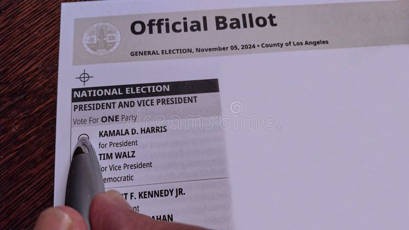 mail in ballot pen