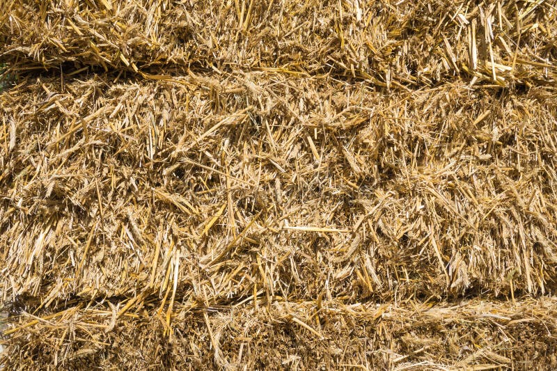 Pressed rye straw stock image. Image of compressed, golden 70678357