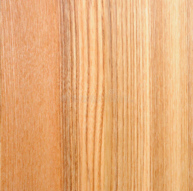 Pressed wood stock image. Image of surface, wood, caoutchouc 13008933