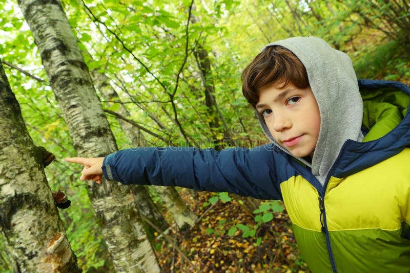 Preteen Boy Close Up Portrait in the Autumn Forest Stock Image - Image ...