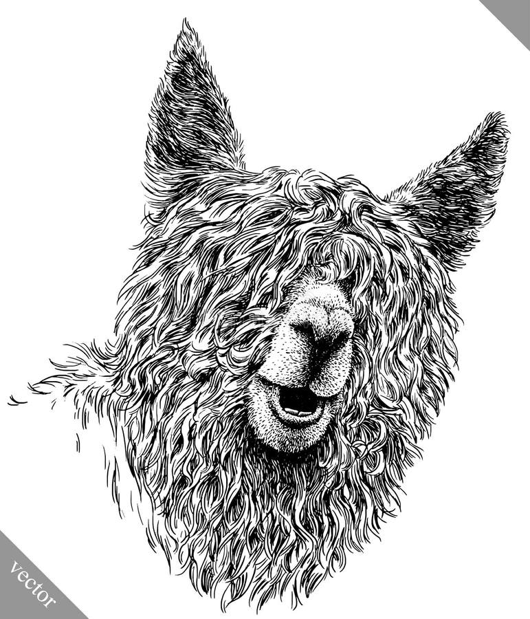 Preto e branco grave a ilustração isolada do vetor da Lama ilustração do vetor Preto e branco grave a ilustração isolada do vetor da Lama ilustração do vetor