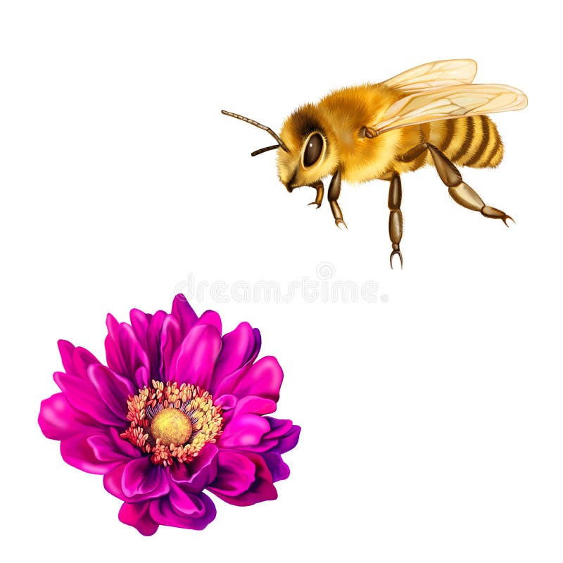 Pretty bee, Pink Mona Lisa flower, Spring bloom