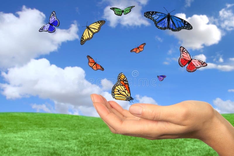 13,874 Butterflies Flying Stock Photos - Free & Royalty-Free Stock Photos  from Dreamstime