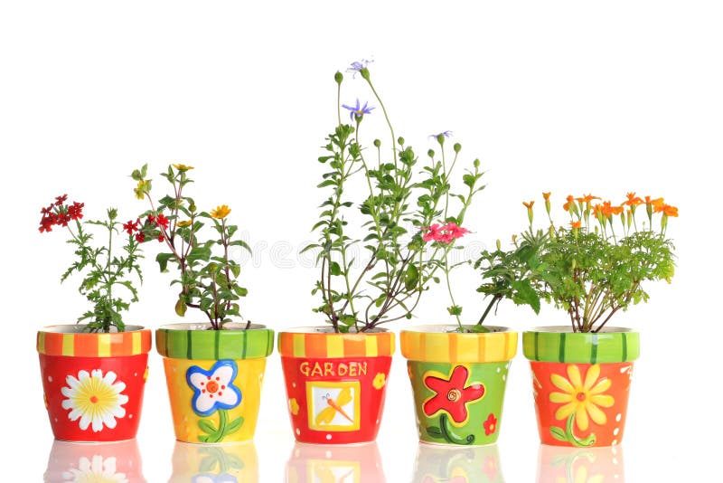 Pretty flower pots stock image. Image of decoration, season 15133961