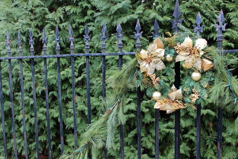 Pretty Gold Wreath and Holiday Greenery Stock Image Image of