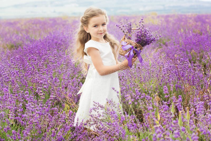 Pretty little girl in lavender field with basket
