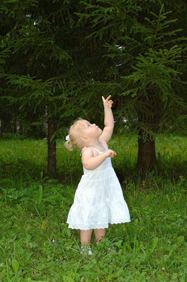 Pretty little girl walk in the coniferous forest.