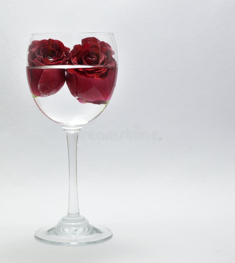 Pretty Red Roses, Symbol of Love in Wine Glass Stock Photo Image of