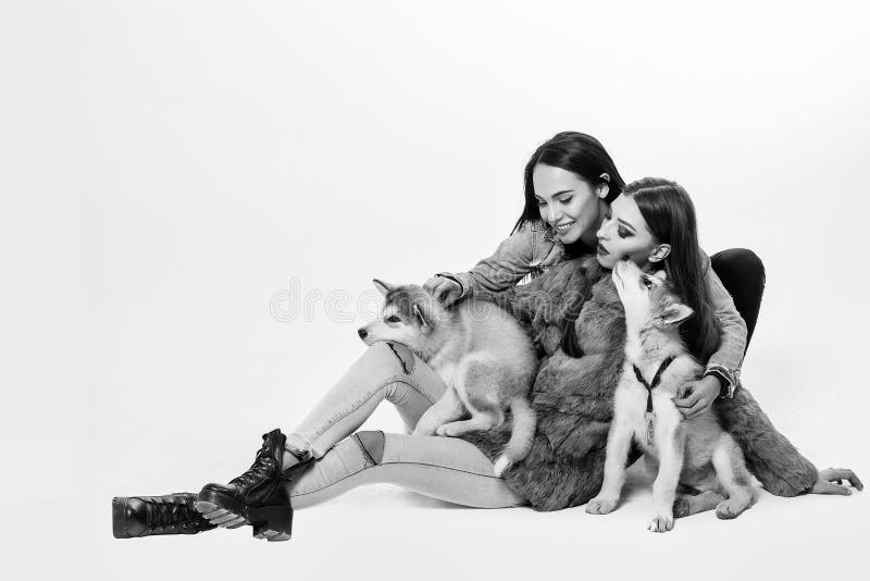 Girls in denim with husky stock image. Image of sexi - 123844077