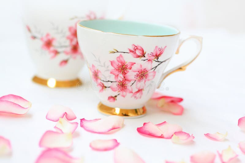 Pretty Tea Cups And Rose Petals Stock Image Image of aroma, closeup