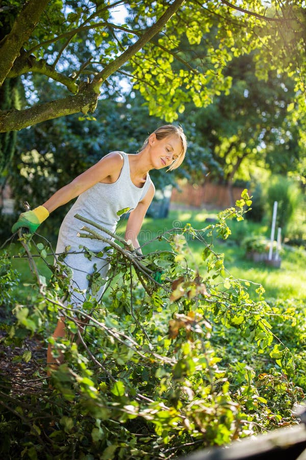 Pretty, Young Woman Gardening in Her Garden Stock Image - Image of ...