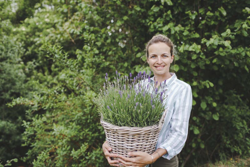 Pretty young woman is posing with big and fresh lavender in the garden royalty free stock images