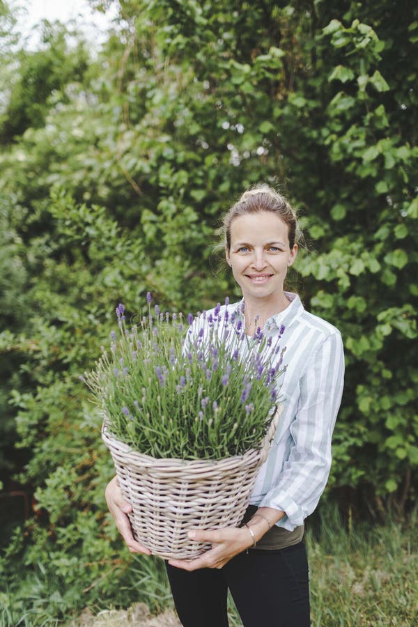 Pretty young woman is posing with big and fresh lavender in the garden stock photos