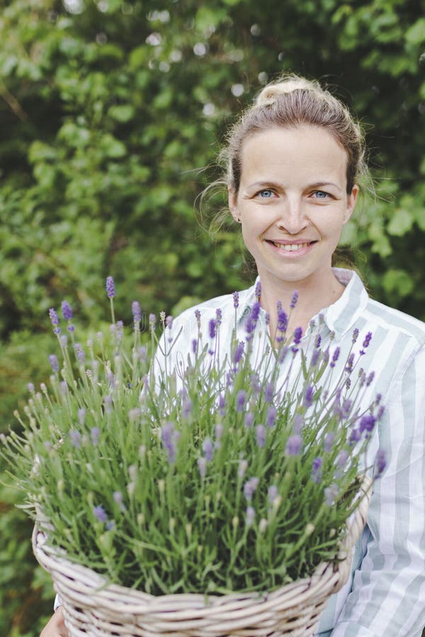 Pretty young woman is posing with big and fresh lavender in the garden stock photos