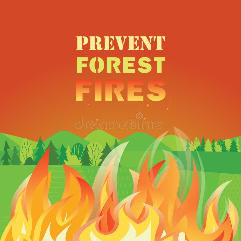9 Ways to Prevent Forest Fires in California One Tree P