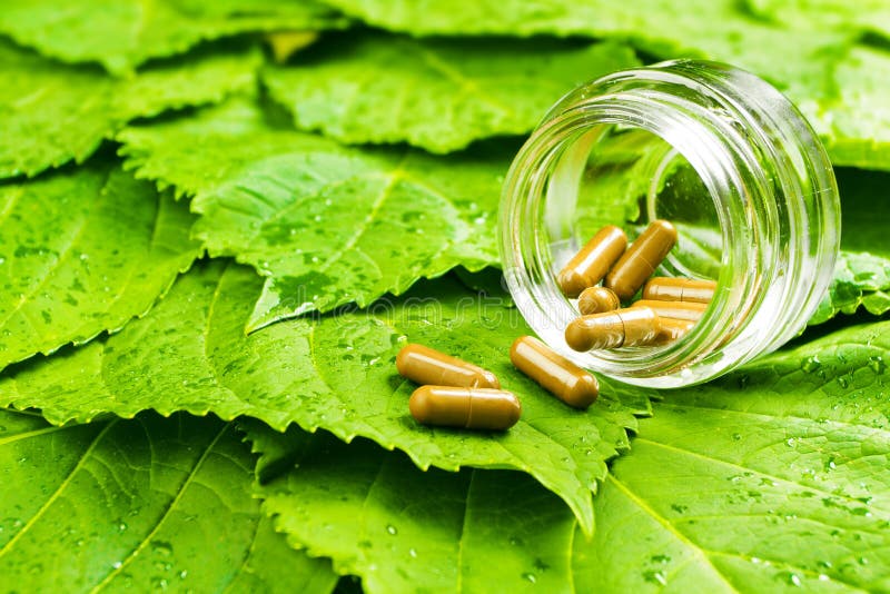 Preventivpillerar i krus över gröna sidor Sunt vitamin fotografering för bildbyråer Preventivpillerar i krus över gröna sidor Sunt vitamin fotografering för bildbyråer