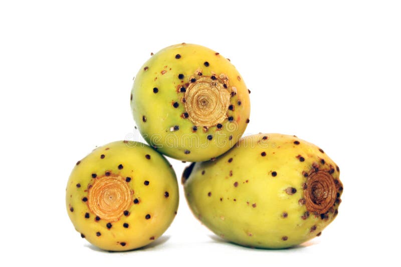 Prickly Pears stock photography Prickly Pears stock photography