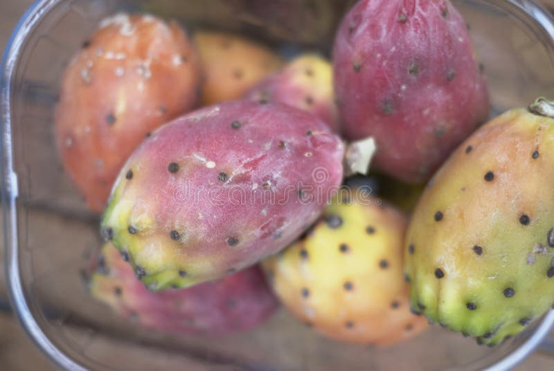 Prickly pears fruit stock image. Image of fruit, mature 127236833