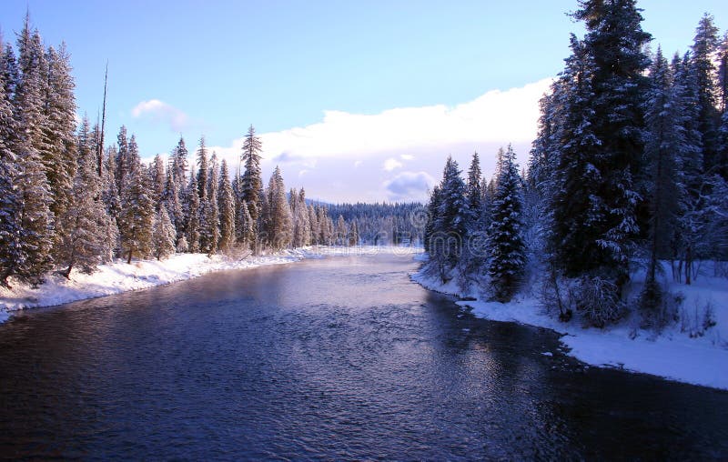 Priest River at Priest Lake Idaho Stock Photo Image of winter, trees 6768196