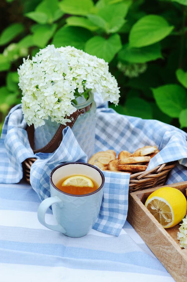Prima colazione di estate in giardino di fioritura bello con tè, il limone ed i biscotti immagini stock libere da diritti