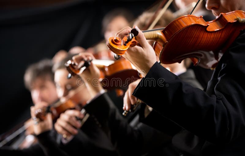 Prima sezione di violino dell'orchestra fotografia stock Prima sezione di violino dell'orchestra fotografia stock