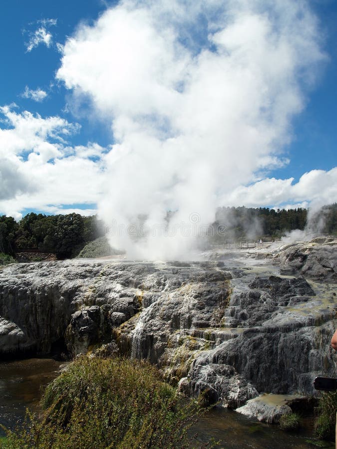 Primavera caliente del fango, Rotorua, Nueva Zelanda foto de archivo libre de regalías Primavera caliente del fango, Rotorua, Nueva Zelanda foto de archivo libre de regalías