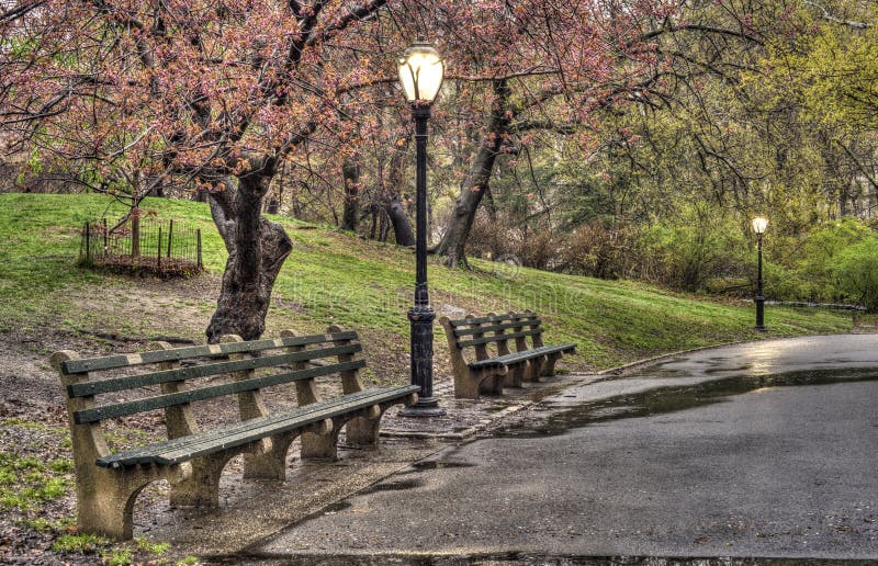Primavera in Central Park, New York Fotografia Stock Immagine di