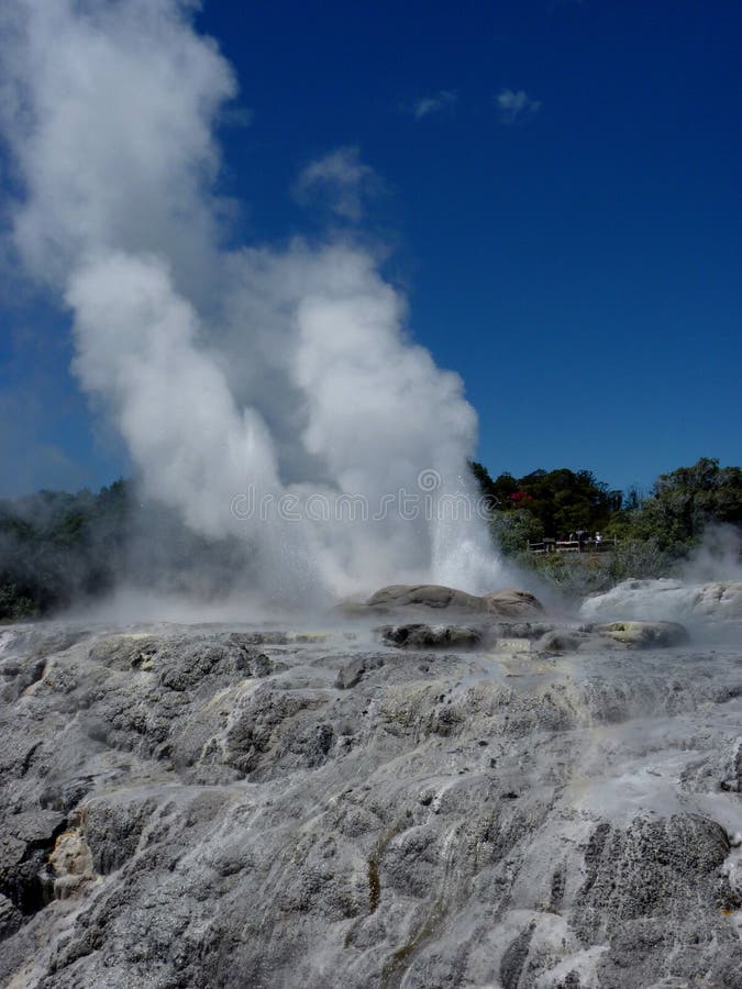 primavera del chorro en parque geotermal del área en Rotorua, Nueva Zelanda foto de archivo libre de regalías primavera del chorro en parque geotermal del área en Rotorua, Nueva Zelanda foto de archivo libre de regalías