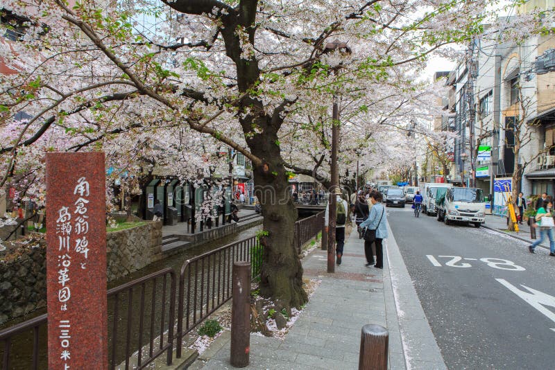 Primavera en Kyoto, Japón foto de archivo libre de regalías Primavera en Kyoto, Japón foto de archivo libre de regalías