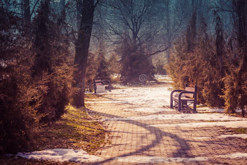 Primavera temprana en el parque El sol de marzo es brillante, los restos de la mentira de la nieve en las trayectorias Dos bancos imagenes de archivo Primavera temprana en el parque El sol de marzo es brillante, los restos de la mentira de la nieve en las trayectorias Dos bancos imagenes de archivo