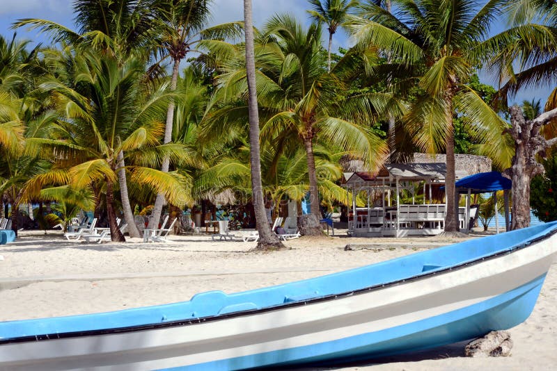 Primer blanco grande del barco en una playa arenosa con las palmeras verdes, los sunbeds para relajarse y un gazebo en un día sol imagen de archivo Primer blanco grande del barco en una playa arenosa con las palmeras verdes, los sunbeds para relajarse y un gazebo en un día sol imagen de archivo