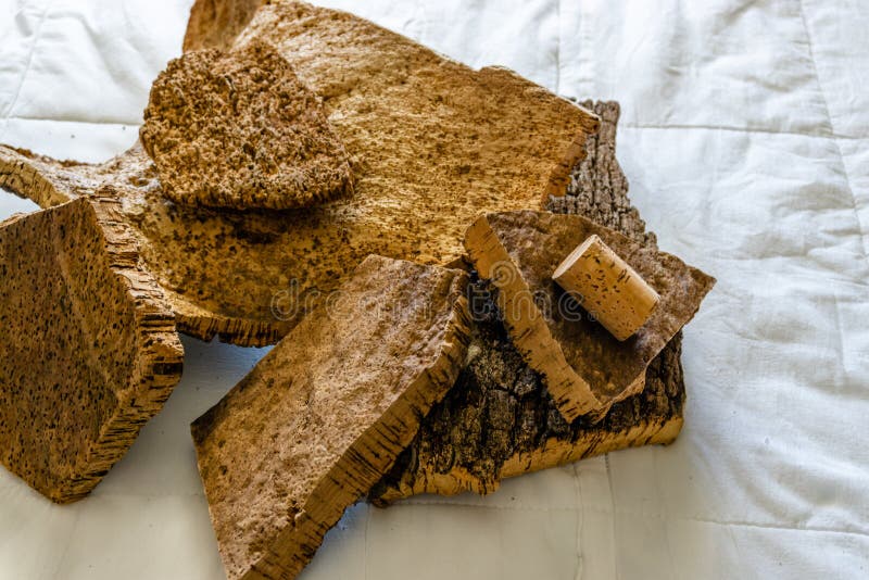 Primer de Cork Bark Ready acabado para fabricar en corcho imagen de archivo libre de regalías Primer de Cork Bark Ready acabado para fabricar en corcho imagen de archivo libre de regalías