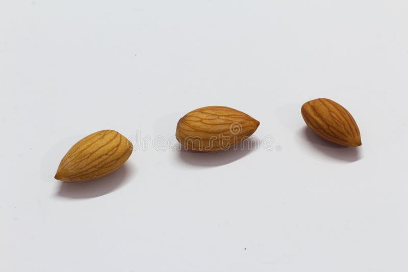 Primer de la almendra aislado en el fondo blanco imágenes de archivo libres de regalías Primer de la almendra aislado en el fondo blanco imágenes de archivo libres de regalías