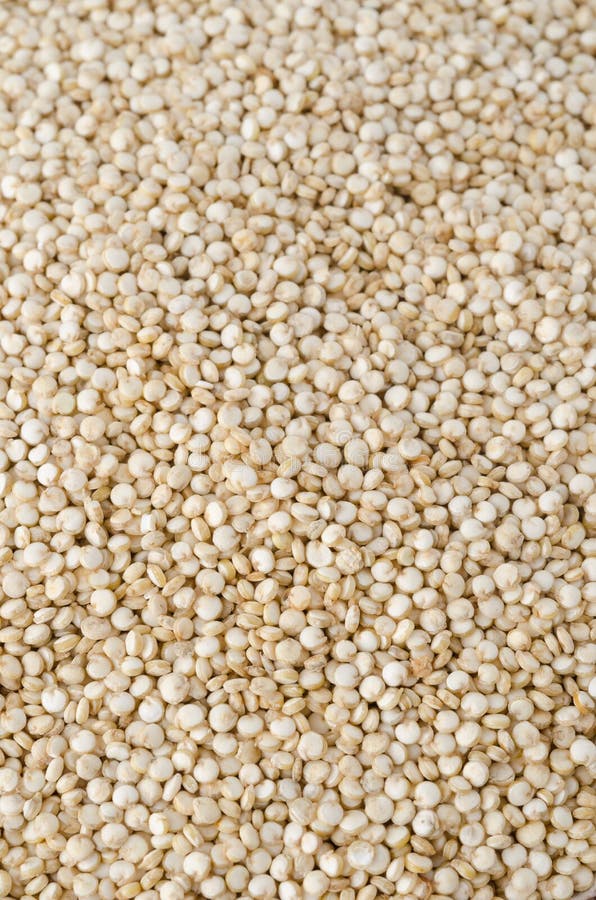 Primer de la quinoa foto de archivo libre de regalías Primer de la quinoa foto de archivo libre de regalías