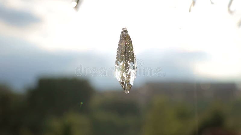 Primer del cristal con descensos del agua metrajes