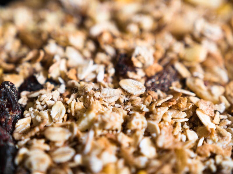 Primer del muesli crujiente con el granola y las frutas secadas imagen de archivo Primer del muesli crujiente con el granola y las frutas secadas imagen de archivo