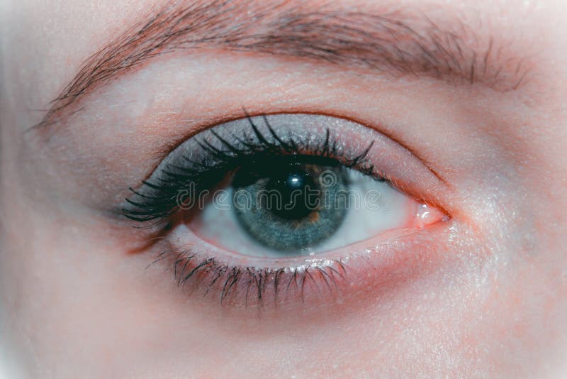Primer del ojo azul natural femenino hermoso sin maquillaje foto de archivo Primer del ojo azul natural femenino hermoso sin maquillaje foto de archivo