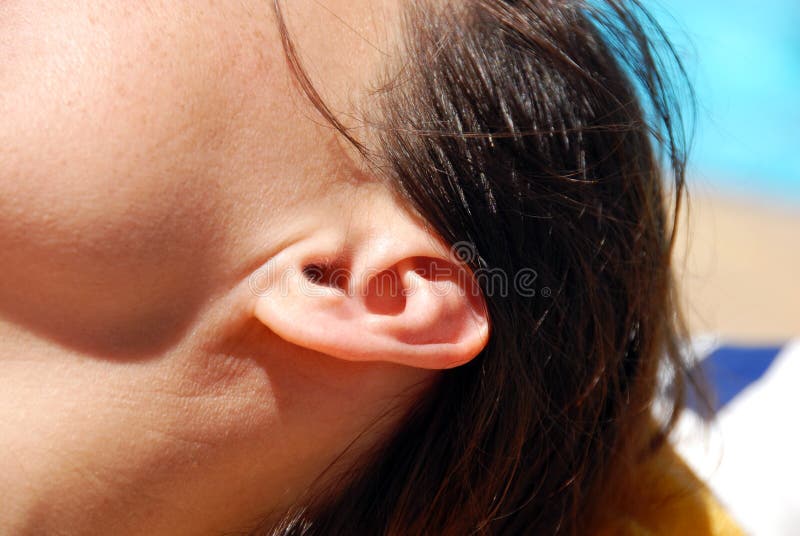 Brunette female ear closeup on sunlight outdoor. Brunette female ear closeup on sunlight outdoor