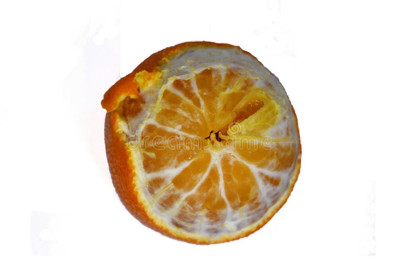 Primer maduro del mandarín en una naranja blanca de la mandarina del fondo imágenes de archivo libres de regalías Primer maduro del mandarín en una naranja blanca de la mandarina del fondo imágenes de archivo libres de regalías
