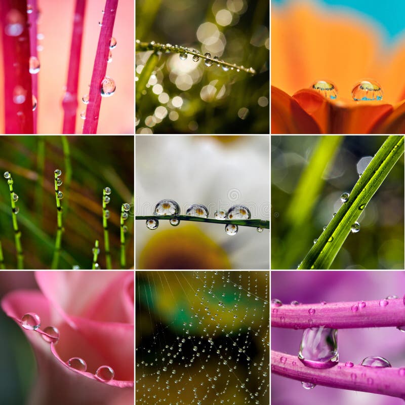 Primo piano dei waterdrops - insieme delle foto variopinte fotografia stock Primo piano dei waterdrops - insieme delle foto variopinte fotografia stock