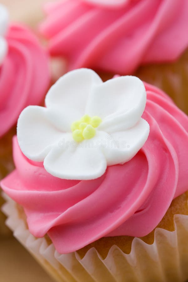 Cupcake decorated with pink frosting and a white flower. Cupcake decorated with pink frosting and a white flower