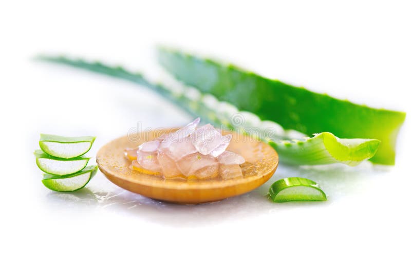Primo piano del gel di Vera dell'aloe Cosmetici organici naturali affettati di rinnovamento di Aloevera, medicina alternativa Con immagine stock Primo piano del gel di Vera dell'aloe Cosmetici organici naturali affettati di rinnovamento di Aloevera, medicina alternativa Con immagine stock