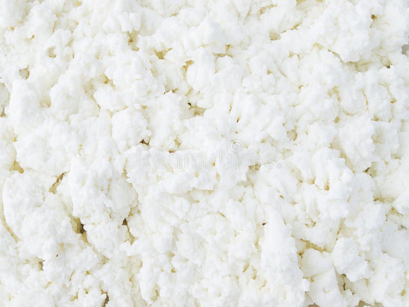 Primo piano della ricotta fotografia stock libera da diritti Primo piano della ricotta fotografia stock libera da diritti
