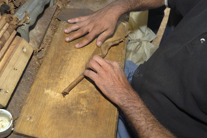 Primo piano delle mani che fanno un sigaro dalle foglie del tabacco fotografia stock Primo piano delle mani che fanno un sigaro dalle foglie del tabacco fotografia stock