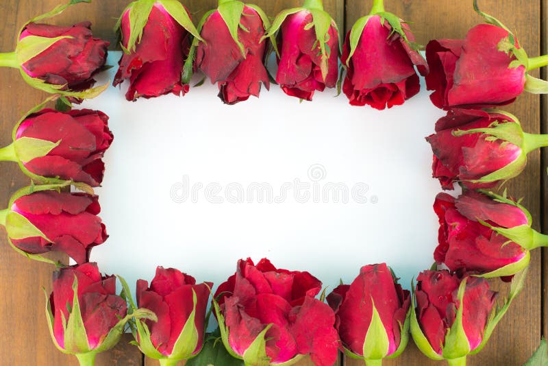 Primo piano delle rose rosse su un fondo di legno con il segno in bianco del messaggio per il vostro testo o messaggio Cartolina fotografie stock Primo piano delle rose rosse su un fondo di legno con il segno in bianco del messaggio per il vostro testo o messaggio Cartolina fotografie stock