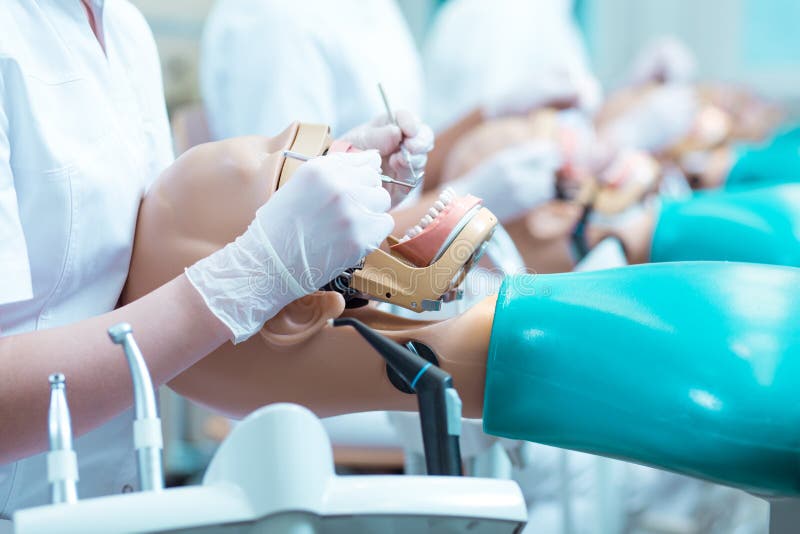 Primo piano dello studente di odontoiatria sulle classi fotografia stock libera da diritti Primo piano dello studente di odontoiatria sulle classi fotografia stock libera da diritti